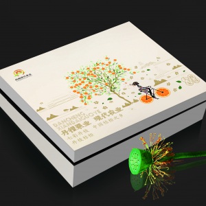 四川丹橙现代果业有限公司委托尊龙凯时设计官网和水果包装礼盒