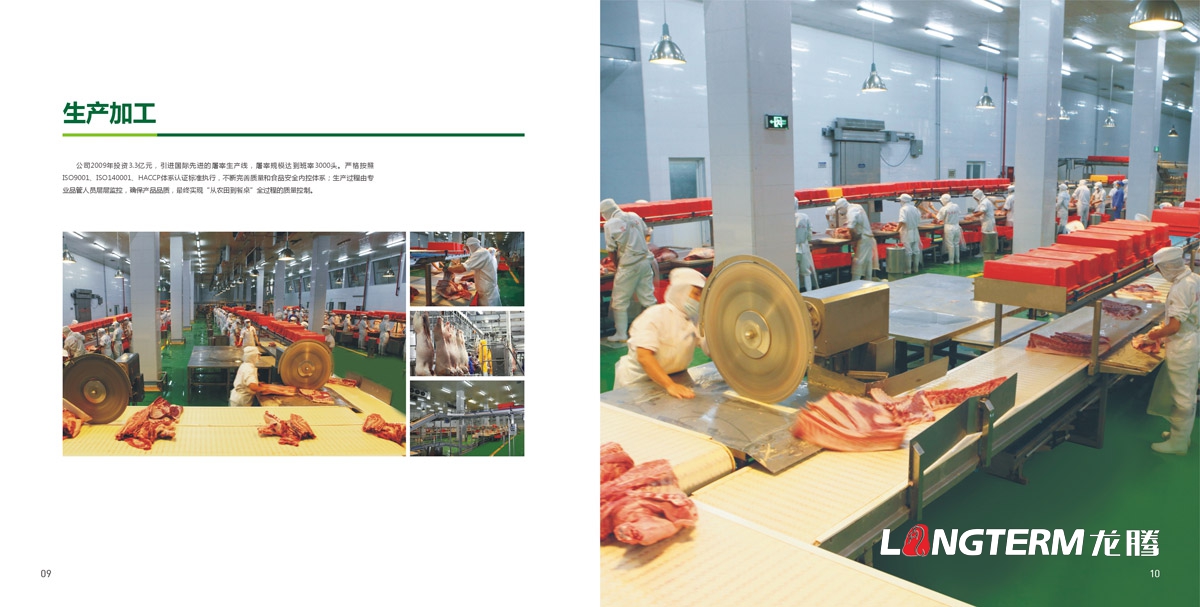 四川省井研食品有限责任公司画册设计|乐山市食品工业园企业形象宣传册设计
